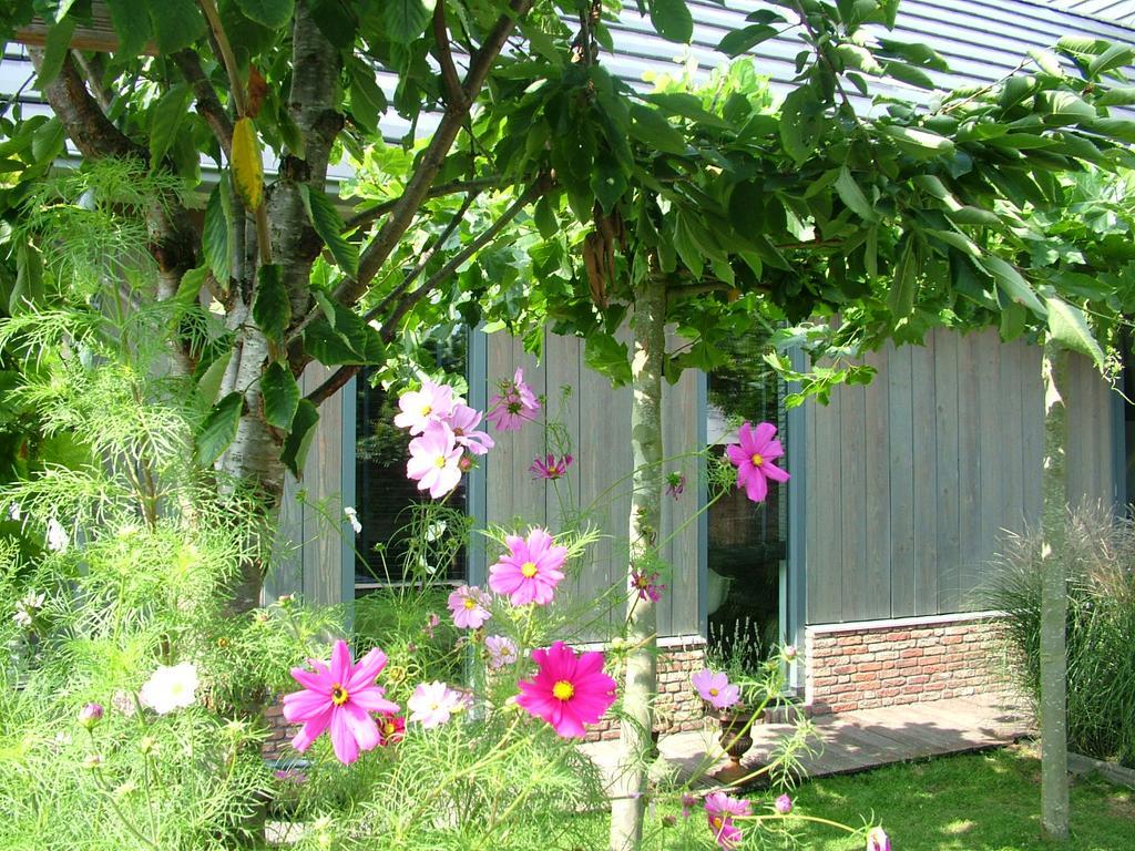 アムステルダムDe Greenhouseアパートメント エクステリア 写真