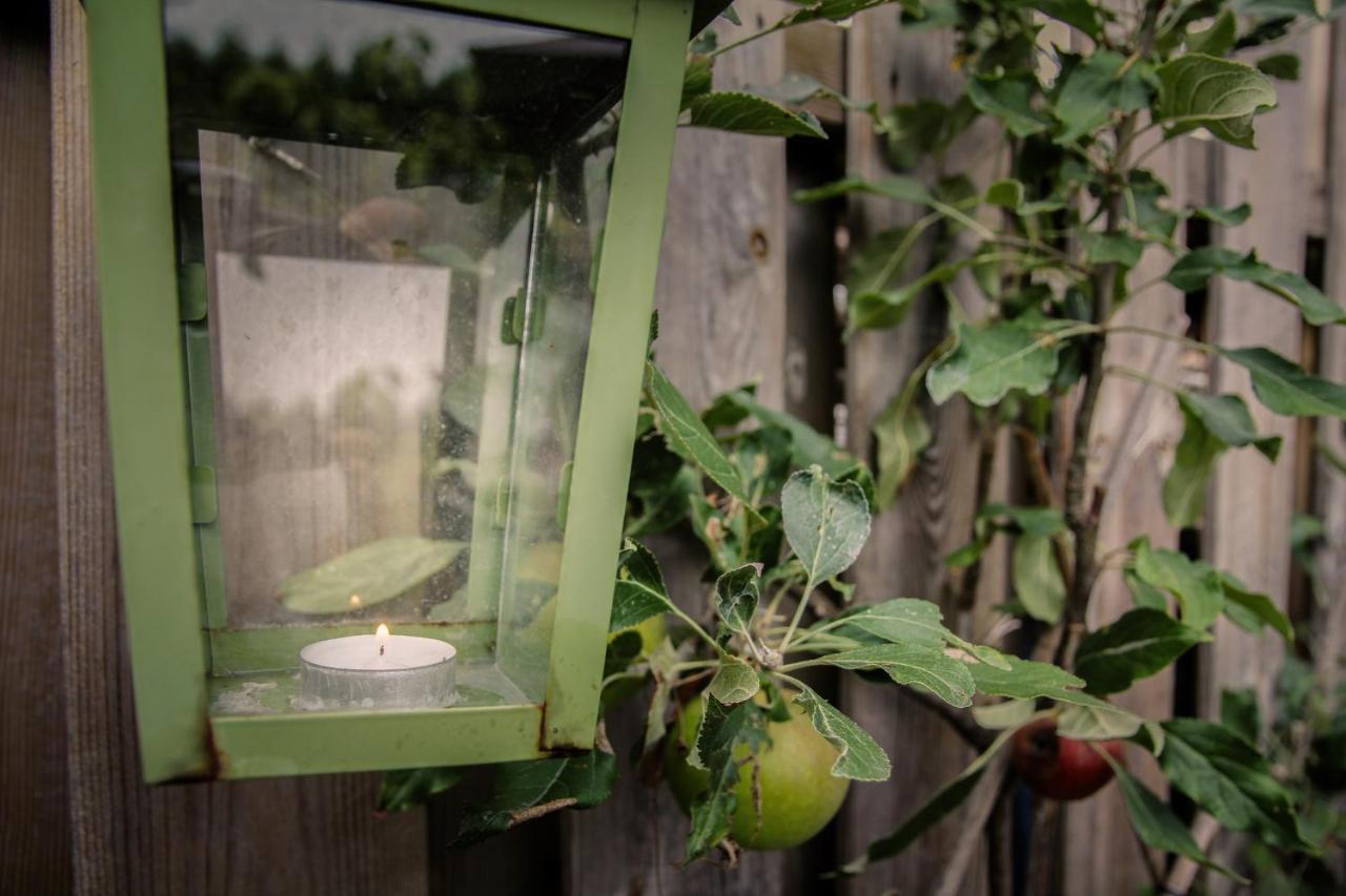 アムステルダムDe Greenhouseアパートメント エクステリア 写真